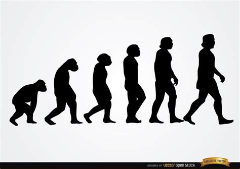 Human Evolution Silhouettes Vector Download
