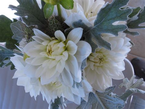 Bridesmaid Bouquet Shady Grove Susan Wright Flickr