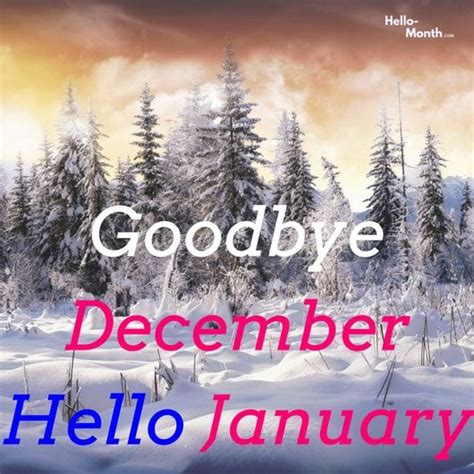 Goodbye December Hello January  Hello January January Pictures
