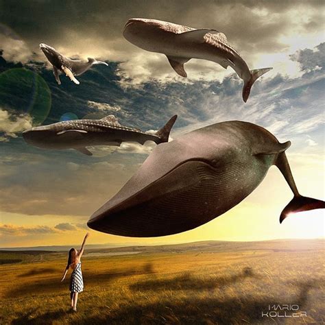 Whales In The Sky Creative Photography Art Photography Whale Art