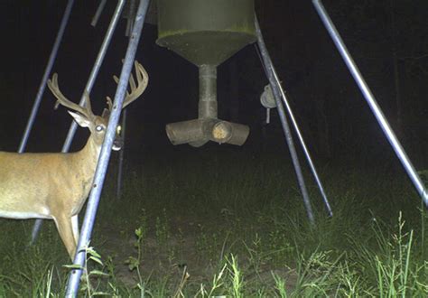 South Texas Tripods And Feeders Deer Blinds Deer Feeders Tripods