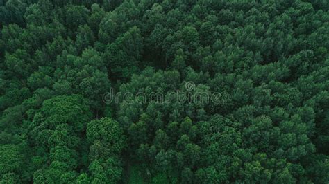 Landscape From Above Stock Photo Image Of Nature Meadow 154727336