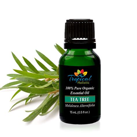 Tea Tree Organic Essential Oil 15ml 12 Oz 100 Pure And Undiluted