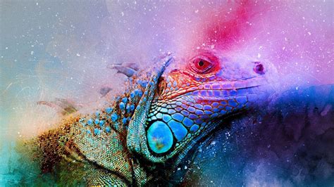 Download Wallpaper 1366x768 Iguana Reptile Art Colorful Tablet