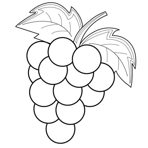 Coloring pages for toddlers, preschool and kindergarten. Grapes Coloring Pages | Coloring pages for kids, Fruit ...