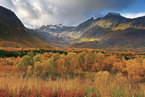 Picture Of The Day Autumn In Norway Twistedsifter