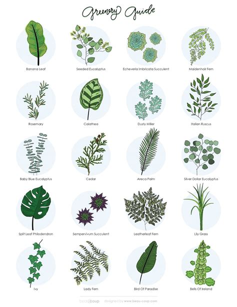 The Greenery Guide 20 Of Our Favorite Greens And How To Use Them In Your
