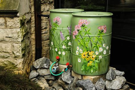 How To Water Lawn From Rain Barrel Rain Harvesting How To Make A