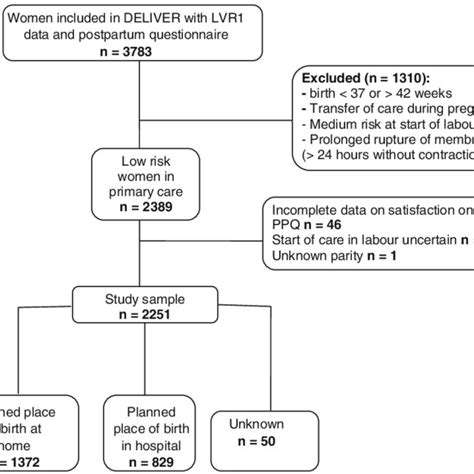Selection Of Low Risk Women Who Started Labour In Primary Care In The Download Scientific