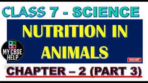 Class 7 Science Chapter 2 Nutrition In Animals Part 3 Digestion In
