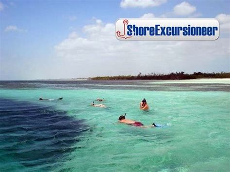 Beach Hop And Peterson Cay Snorkel Island Hop By Boat And See Some Of