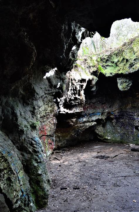 The Withlacoochee State Forest Caves Photograph By Warren Thompson Pixels