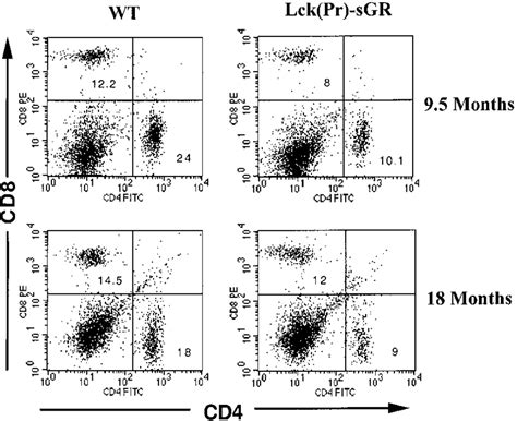 Cd4 Cd8 T Cell Ratio In Aged Lckpr Sgr Transgenic And Wt Mice