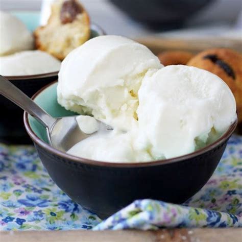 Homemade Vegan Coconut Milk Ice Cream — Eatwell101