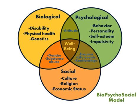 Biopsychosocial Model Definition Example Video Lesson