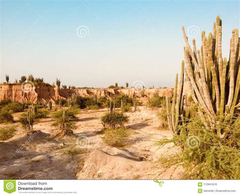 Beautiful Desert Landscape With Red Rock Mountain And