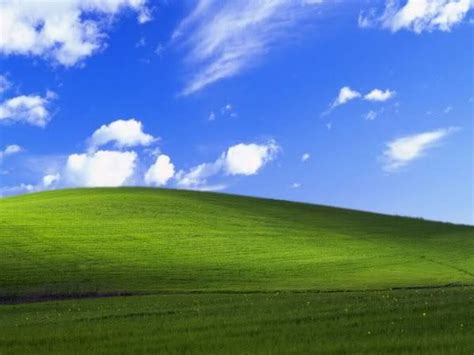 Download Windows Xp Grass Wallpaper Gallery
