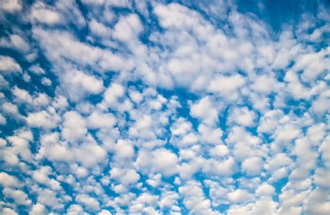 Best Altocumulus Clouds Stock Photos Pictures And Royalty Free Images