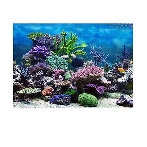 Buy Zn Aquarium Background Poster Fish Tank Decorations Background