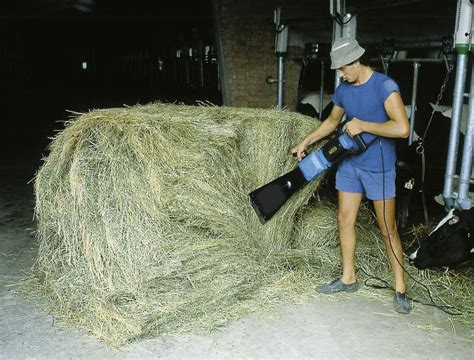 Hay Cutter Barn And Farm Supplies Tools Hay Cutter Hay Cut