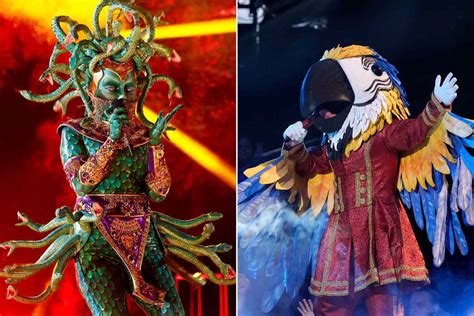 The Masked Singer Season 9 Picks A Winner — Find Out Whether Macaw Or