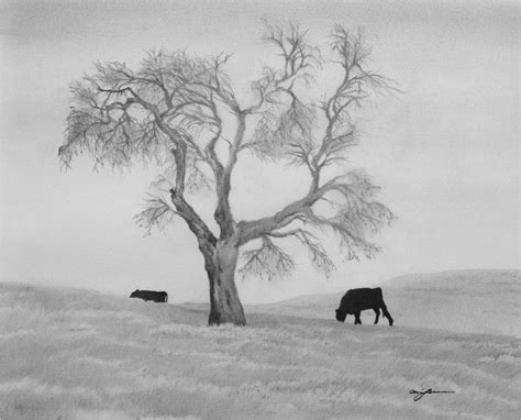 Landscape Drawing With Pencil