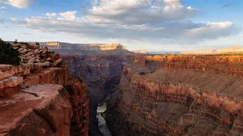 Blick Vom Toroweap Overlook Auf Den Grand Canyon Und Den Colorado River