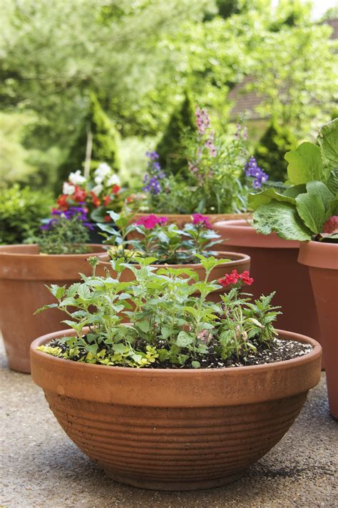 Remodelaholic How To Create The Perfect Container Garden