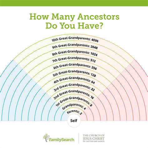 Got Interested In Genealogy Recently And This Chart Boggles My Mind