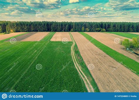 Aerial View Of Arable Fields And Plantation Stock Image Image Of