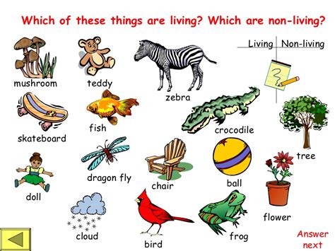 Living And Non Living Things Powerpoint 1