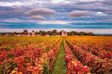 Wine Tasting In France Wine Experiences France Explore Vineyards