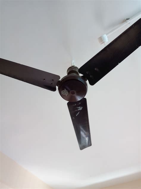 Here we take a closer look at each fan. ORIENT ELECTRIC WENDY CEILING FAN, Review, Price, India ...