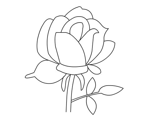 31 Galeri Contoh Sketsa Bunga Mawar Terkeren Perangmeme Riset