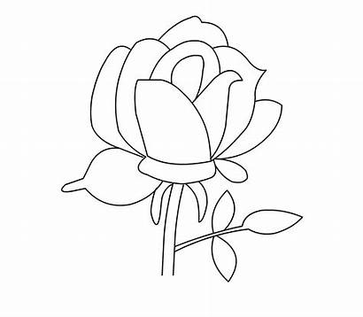 Coloring Roses Pages Printable Rose Bestcoloringpagesforkids Zum