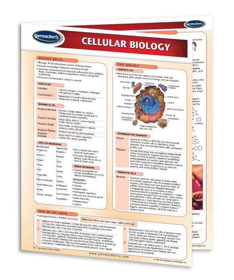 Cellular Biology Reference Guide Quick Reference Laminated Chart