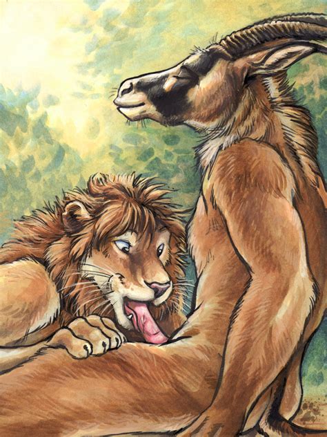 Rule 34 Blotch Ecstasy Eyess Closed Feline Furry Gay Gazel Lion Male No Humans Oral Penis