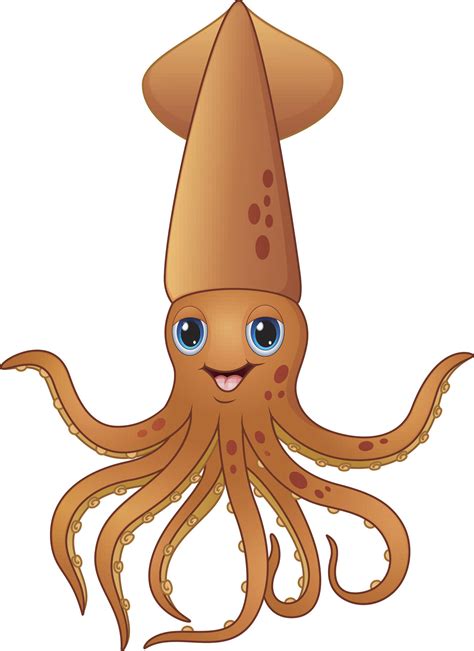 Confused About What Squid Eat Youre Not Alone
