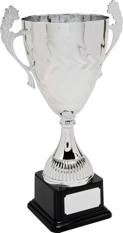 F432 106 41cm Cup Trophies Ireland
