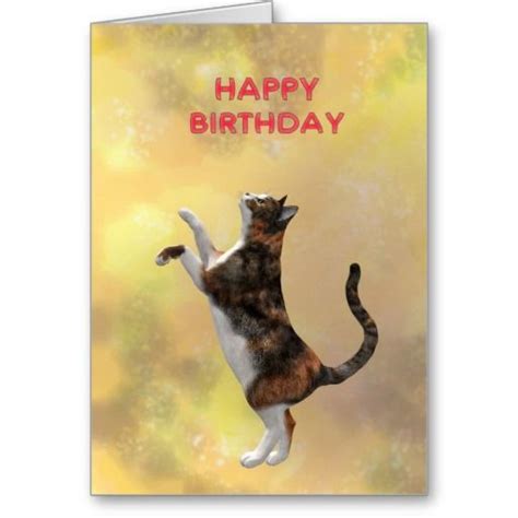 Calico Cat And Happy Birthday Card Happy Birthday