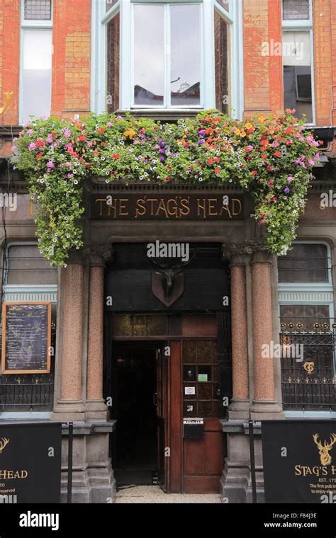 Flowers Decorated The Entrance Of The Stags Head Pubdublinireland