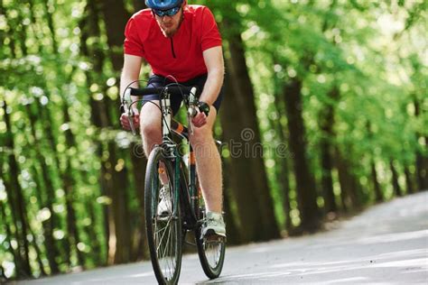 Concentrated Look Cyclist On A Bike Is On The Asphalt Road In The Forest At Sunny Day Stock