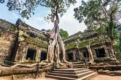 Temple De Ta Prohm Découverte Au Cambodge Cambodia Roads