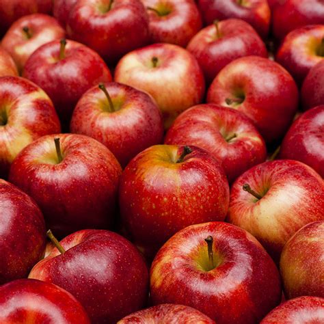 We cover capital & celeb news within the sections markets, business, showbiz, gaming, and sports. North Bay Produce recalls fresh apples
