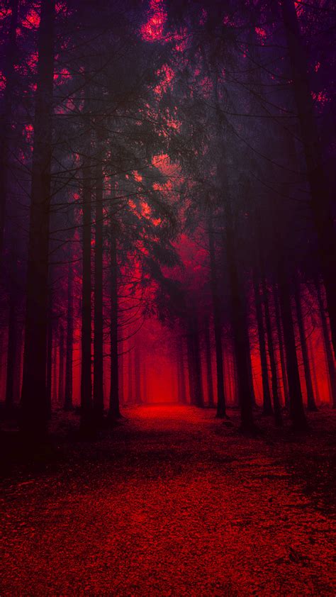 1080x1920 Resolution Red Forest Iphone 7 6s 6 Plus And Pixel Xl One