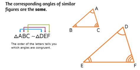 How To Find Scale Factors Of Similar Figures Geometry Lessons Math