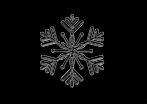 Free Images Water Snow Cold Winter Light Black And White Star