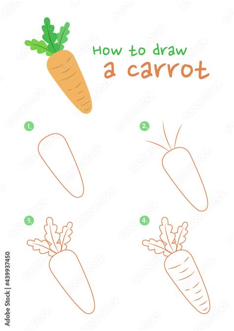 Fototapeta How To Draw A Carrot Vector Illustration Draw A Carrot Step