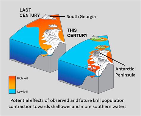 Rapid Warming Of Antarctic Seas Shrinks Range Of Key Species The Pew