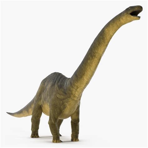 Modelo 3d Dinosaurio Apatosaurus Turbosquid 1123299